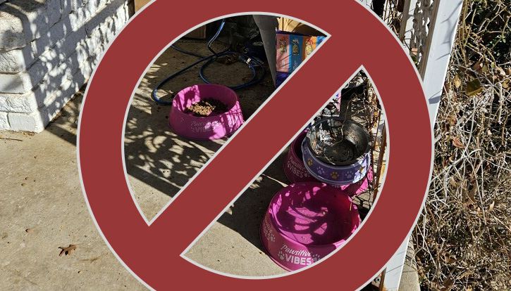 haltom city coyote prevention